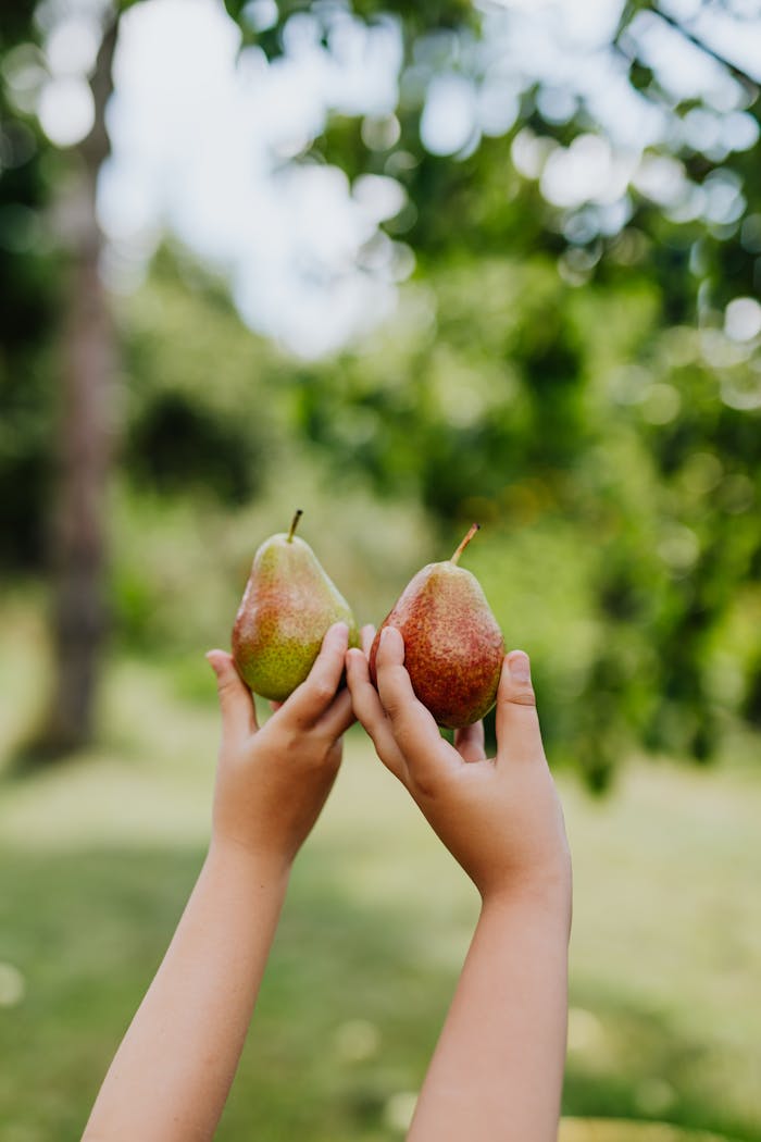 who-we-are-img Close-up of diverse hands forming a connection, symbolizing teamwork and unity outdoors.